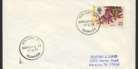 1979 Bermupex 79 1979 Bermupex CC