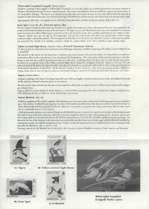 1985 Bicentenary of the Birth of JJ Audobon liner reverse FDC
