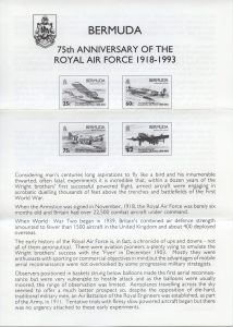 1993 75th Anniversary of the RAF FDC liner