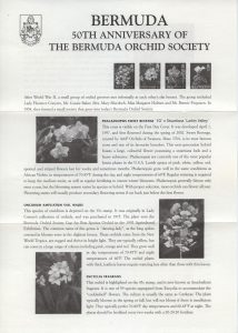 50th Anniversary of the Bermuda Orchid Society FDC liner