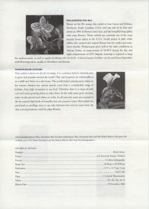 50th Anniversary of the Bermuda Orchid Society FDC liner reverse