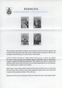 2010 Lined Seahorse liner FDC