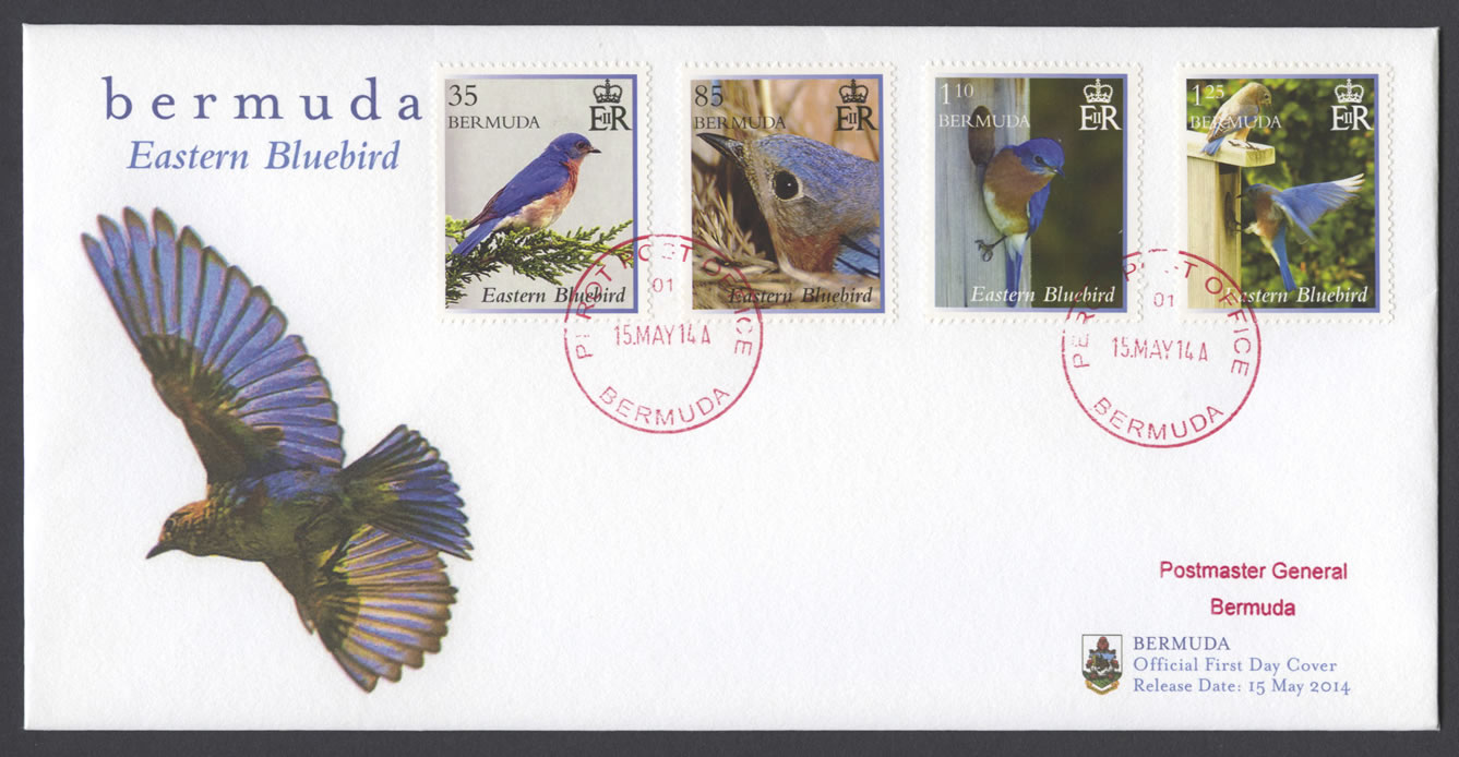 2014 Eastern Bluebird